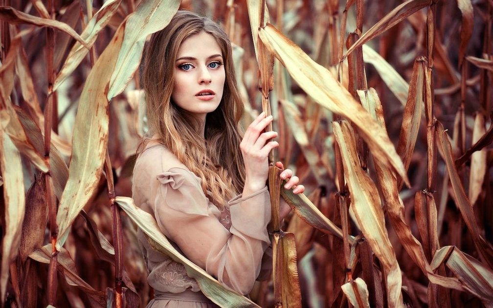 Model in Corn Field