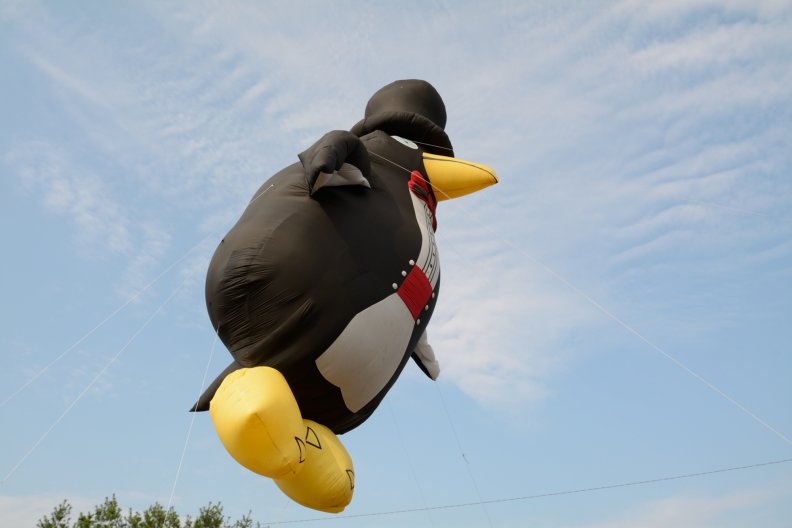 giant_penguin_balloon.jpg