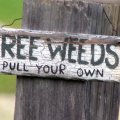 Free weeds