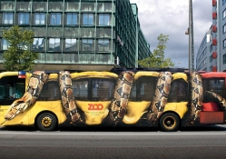 zoo ad