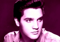 Painting ~ Portrait of Elvis Presley (oil)