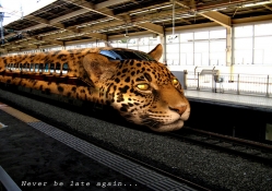 leopard train
