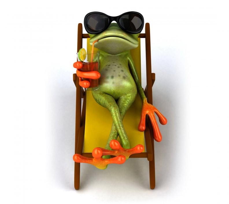 relaxing_frog.jpg