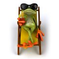 Relaxing frog
