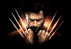 Wolverine 2013