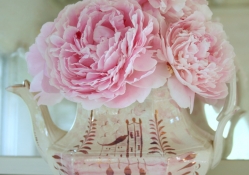 Perfectly Pink Peonies