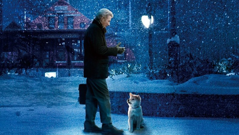 Hachi A Dogs Tale