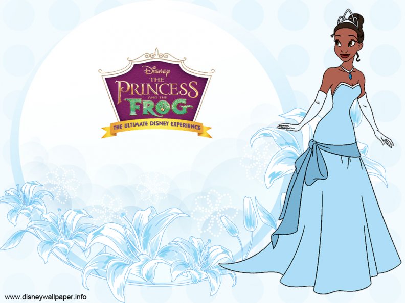 Disney,Princess,Tiana,The,Princess,And,The,Frog