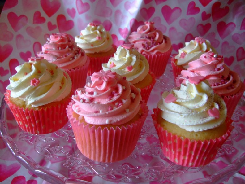 cupcakes_for_lovely_marianne_plume_dargent.jpg