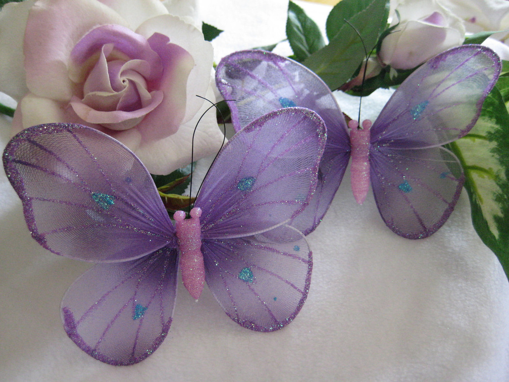 ♥♥♥Charming wings♥♥♥