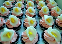 Cupcakes for Cherie (Monarch)
