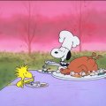 Peanuts Thanksgiving