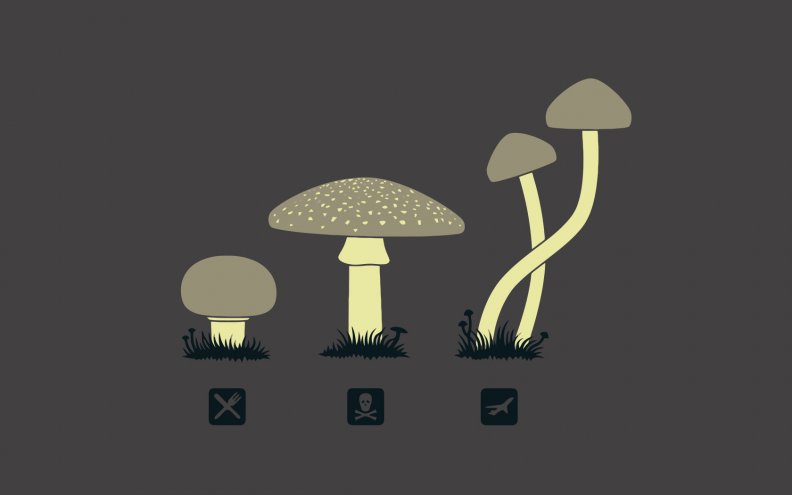 mushroom_logos.jpg