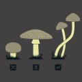 mushroom logos