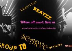 Electro Beatzz Sample Picture