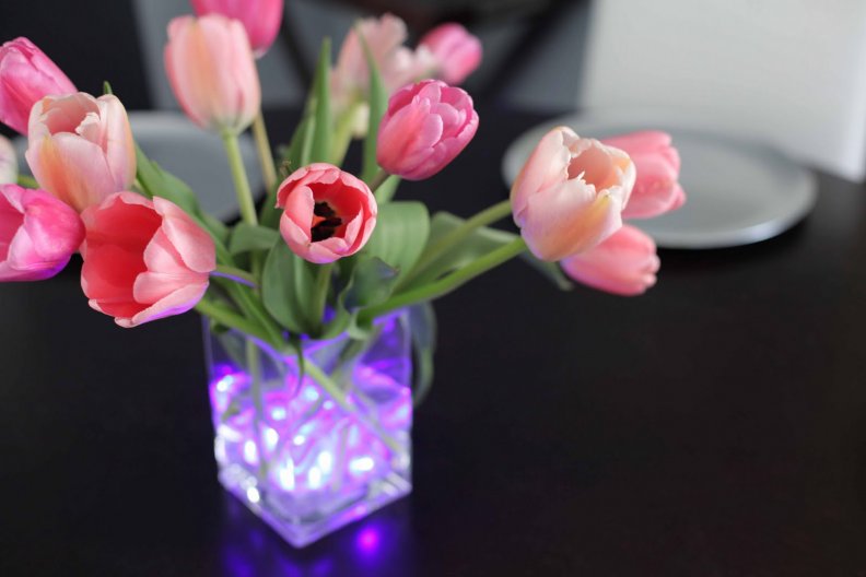 tulips_and_pretty_lights.jpg