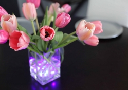 Tulips and pretty lights ~♥~