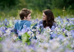 Love in the Meadow