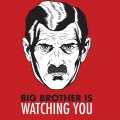 Big Brother Is Watching You