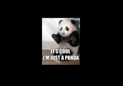 its cool im just a panda