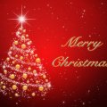 Marry Christmas To You All