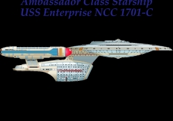 Star Trek _ Ambassador Class Starship