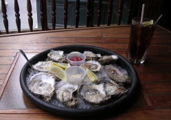 Oysters on the half_shell