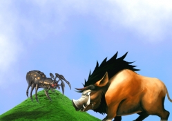 Spider against boar