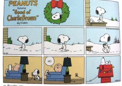 charlie brown and snoopy