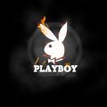 Flaming Playboy