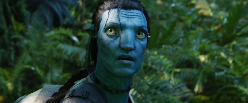 Jake Sully's Avatar