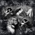 Evanescence Grey Collage