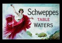 Schweppes Table Waters Add
