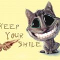 Cat _ Keep Your Smile