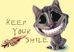 Cat _ Keep Your Smile