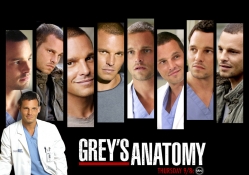 Greys Anatomy Alex