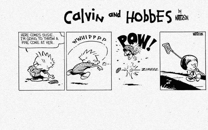 Calvin and Hobbes Susie Lacrosse