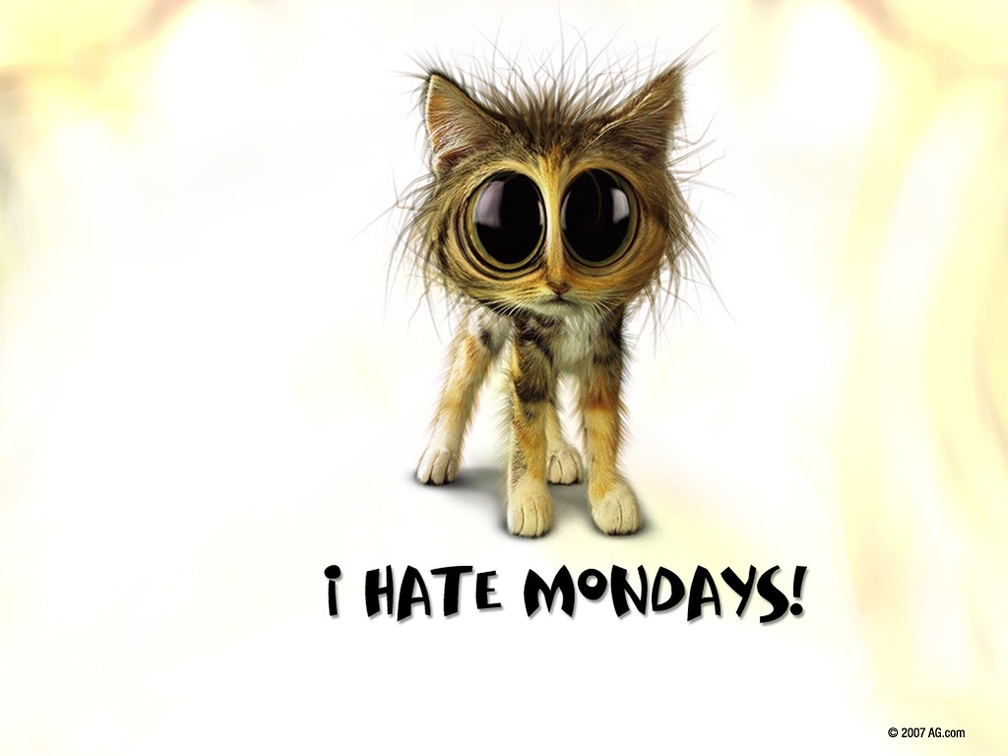 TW I Hate Mondays