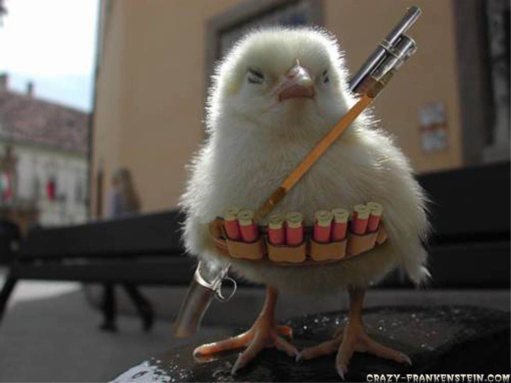 A Seriously Armed Chick