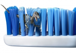 Raptor In Toothbrush