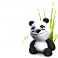 funny panda