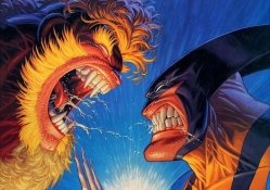 Sabretooth vs Wolverine