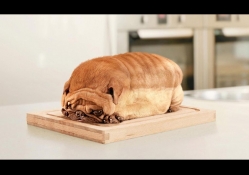 I'm Not a Bread