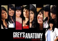 Greys Anatomy Callie