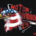 Harley_Davidson logo aigle USA