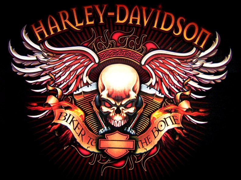 harley_davidson_logo.jpg
