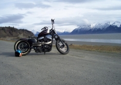 Harley Davidson In Alaska