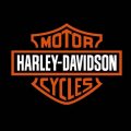 Harley Davidson # 1