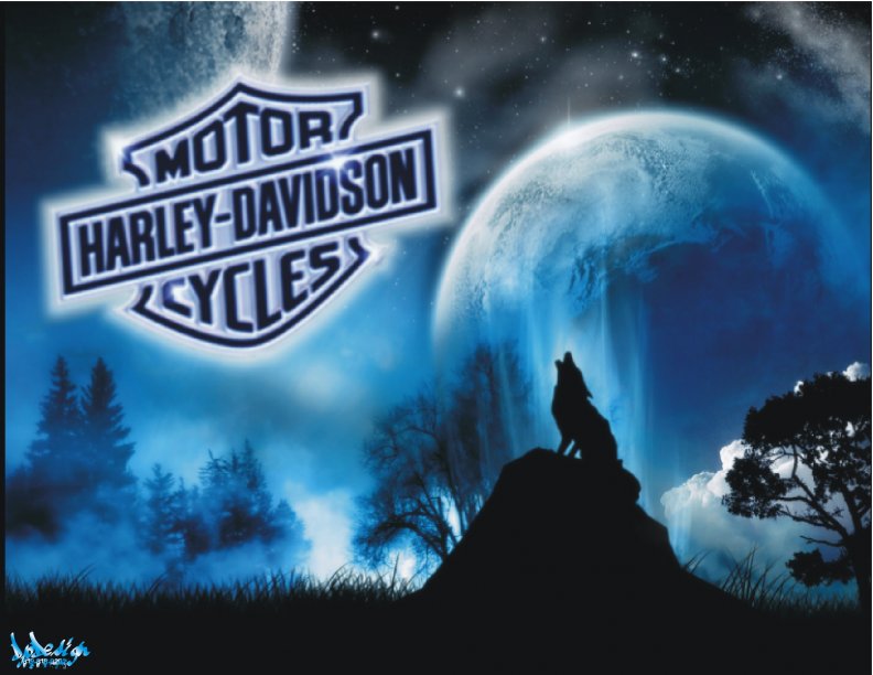 Harley_Davidson loup