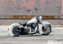 Softail Sex Appeal